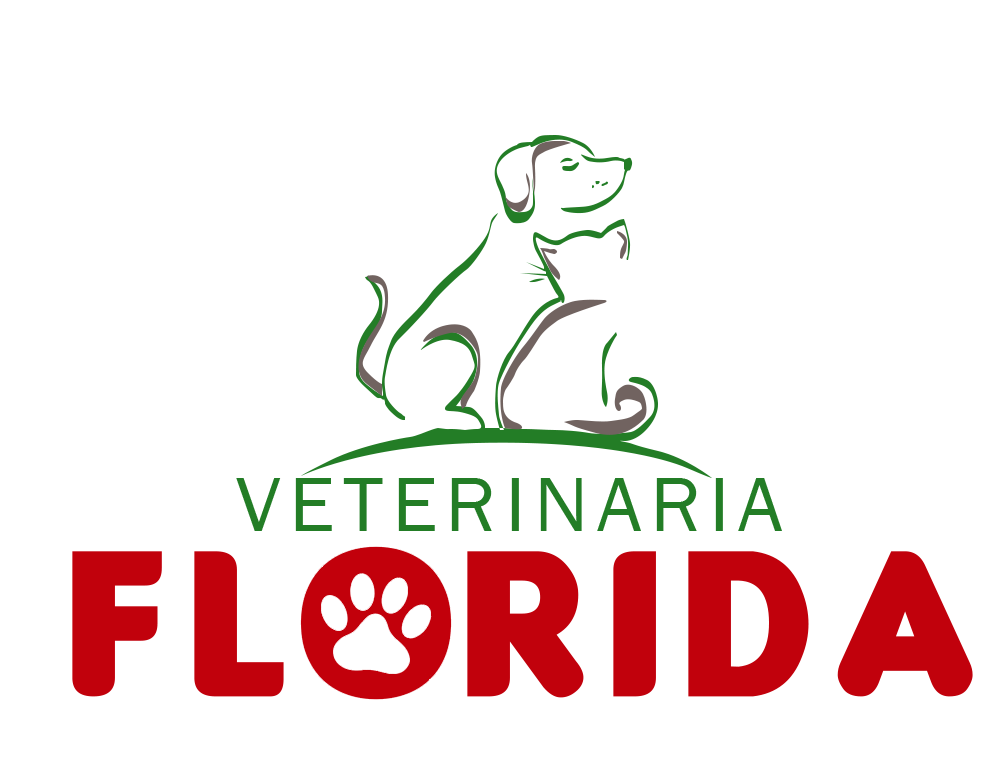 logo Veterinaria Florida