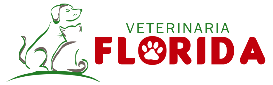Veterinaria Florida