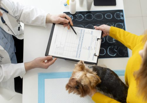 ¿Qué debe tener un buen hospital veterinario? Así trabajamos en Veterinaria Florida